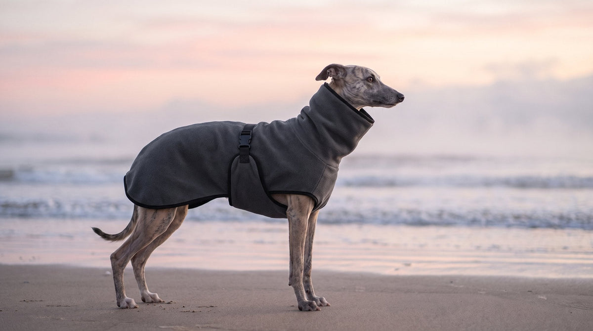 Whippet in a charcoal roll-neck fleece coat on a misty winter beach