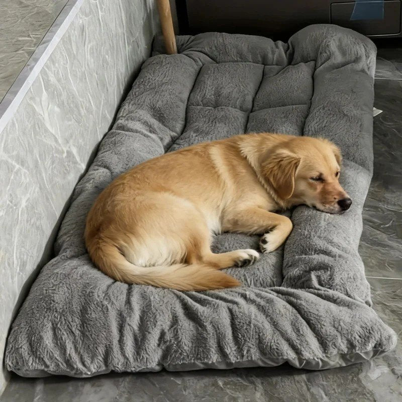 Golden retriever sleeping on the grey quilted dog bed mat