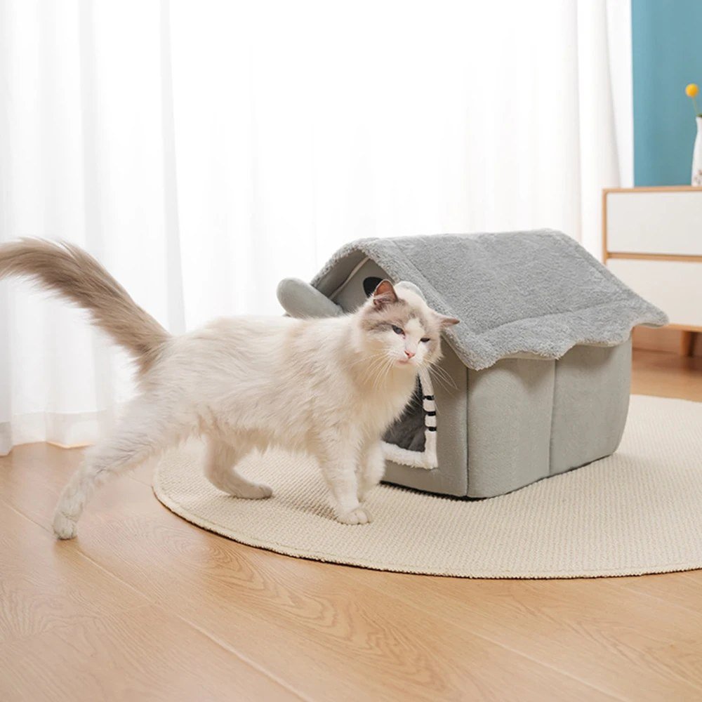 Cat walking past the grey cat house bed