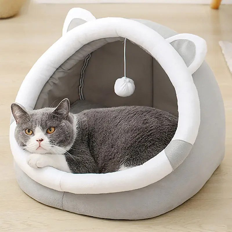 Grey cat resting in the cave bed