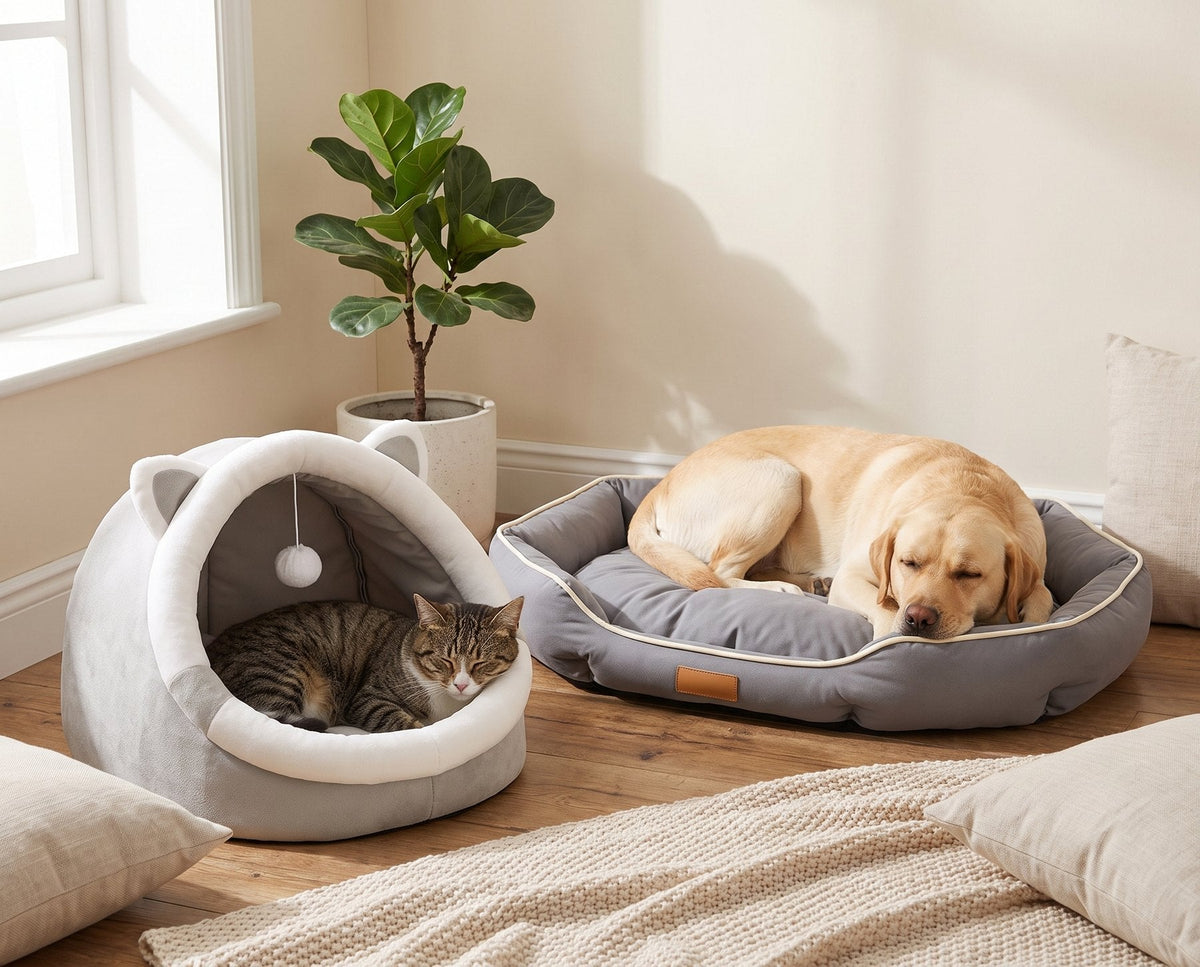 Cat in a cat-ear cave bed and a labrador in a bolster sofa bed in a calm living room