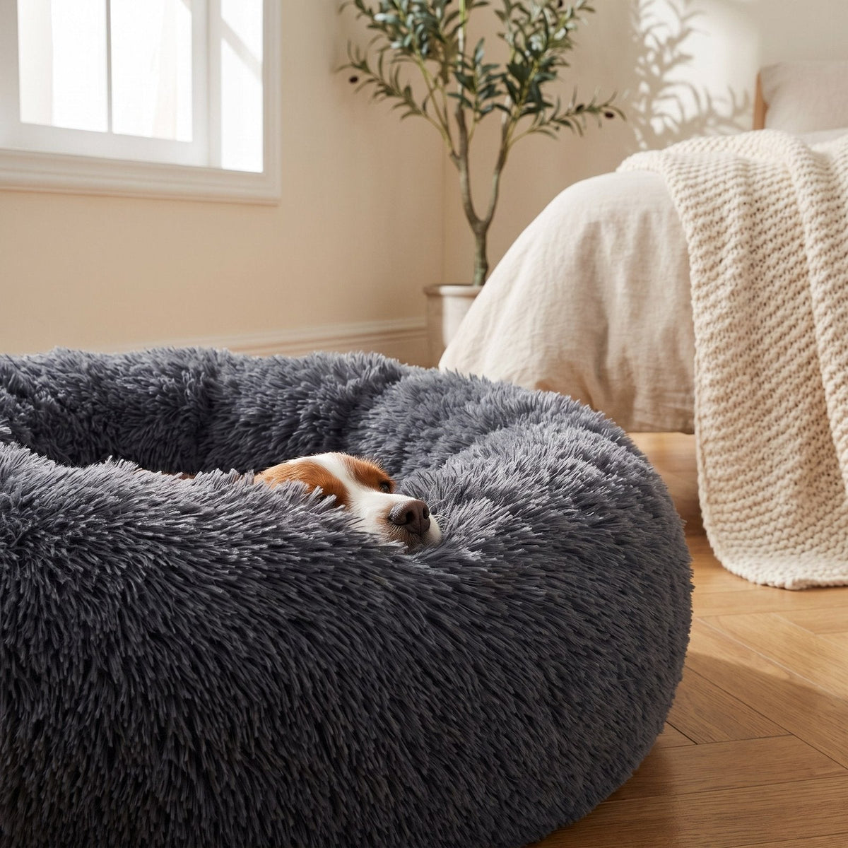 Close-up of a small dog resting on the thick shaggy rim of the Charcoal donut bed