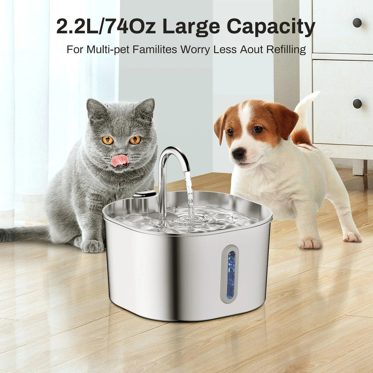 Cat and puppy beside the 2.2 L stainless steel fountain