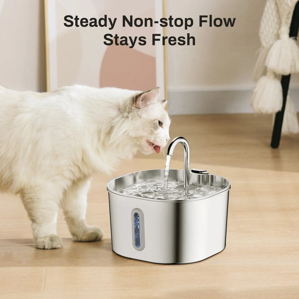 Cat drinking from the steady stream of the fountain