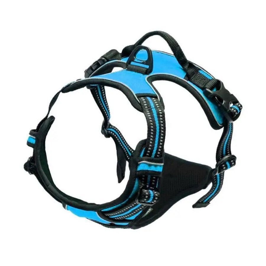 Padded reflective dog harness in Blue