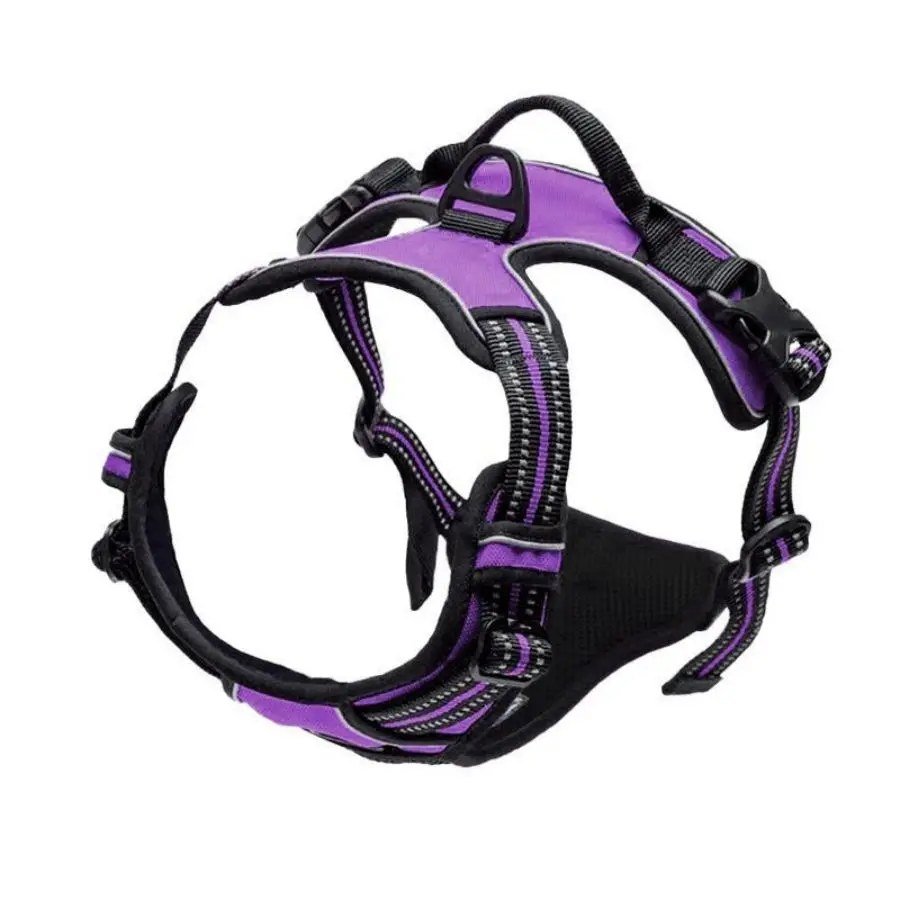 Padded reflective dog harness in Purple