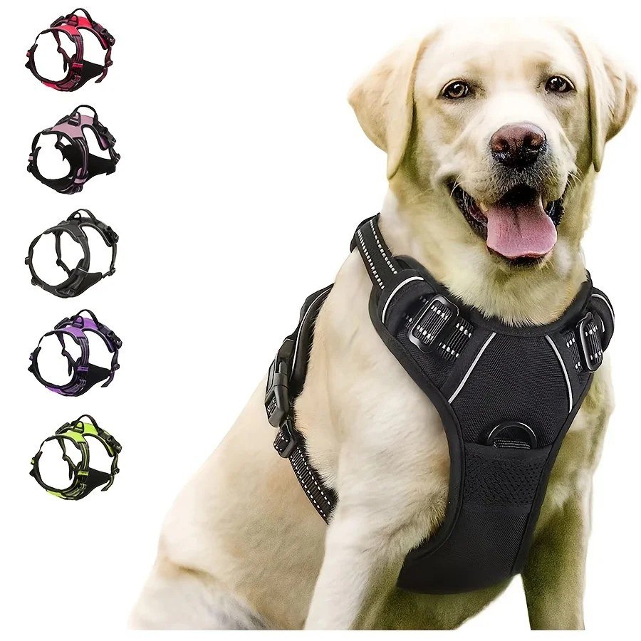 Labrador wearing the Black padded harness