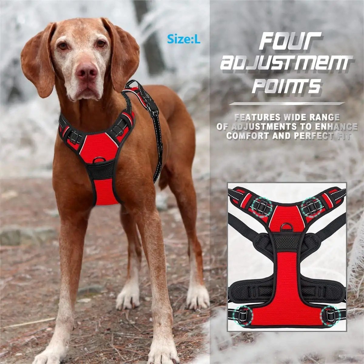 Four adjustment points on the padded harness