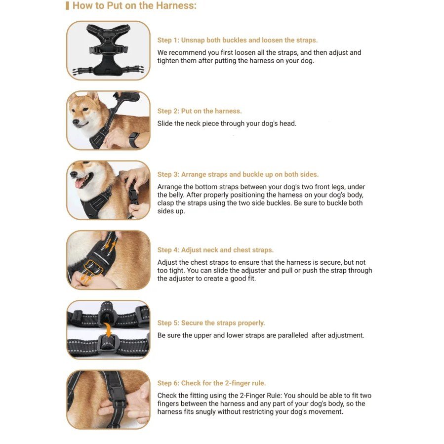 How to put on the padded dog harness, step by step