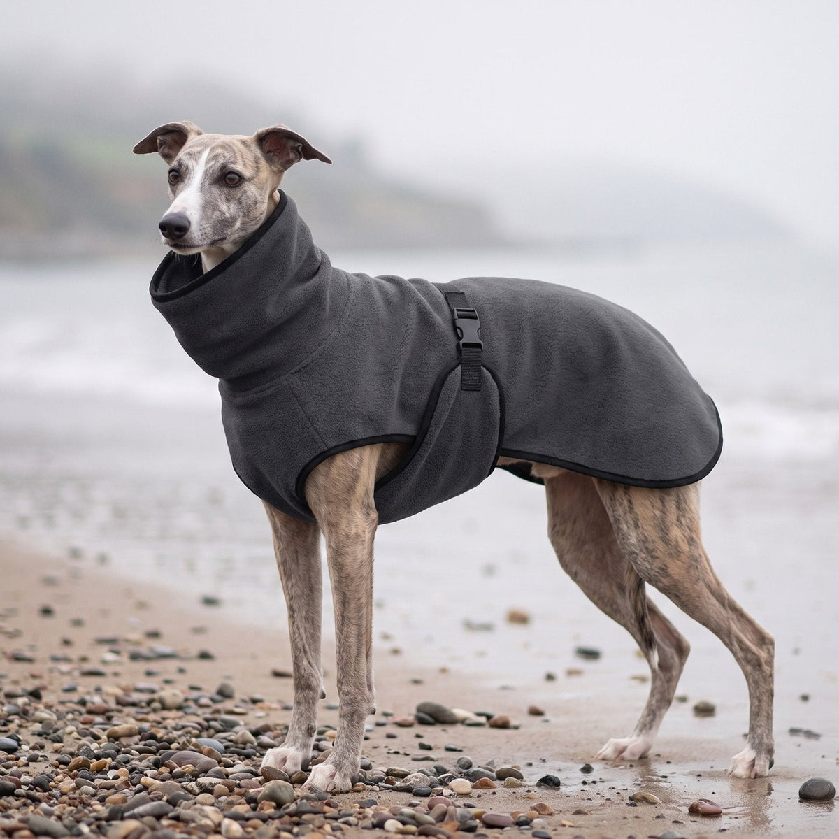 Whippet on a misty beach wearing the Charcoal high-neck fleece dog coat