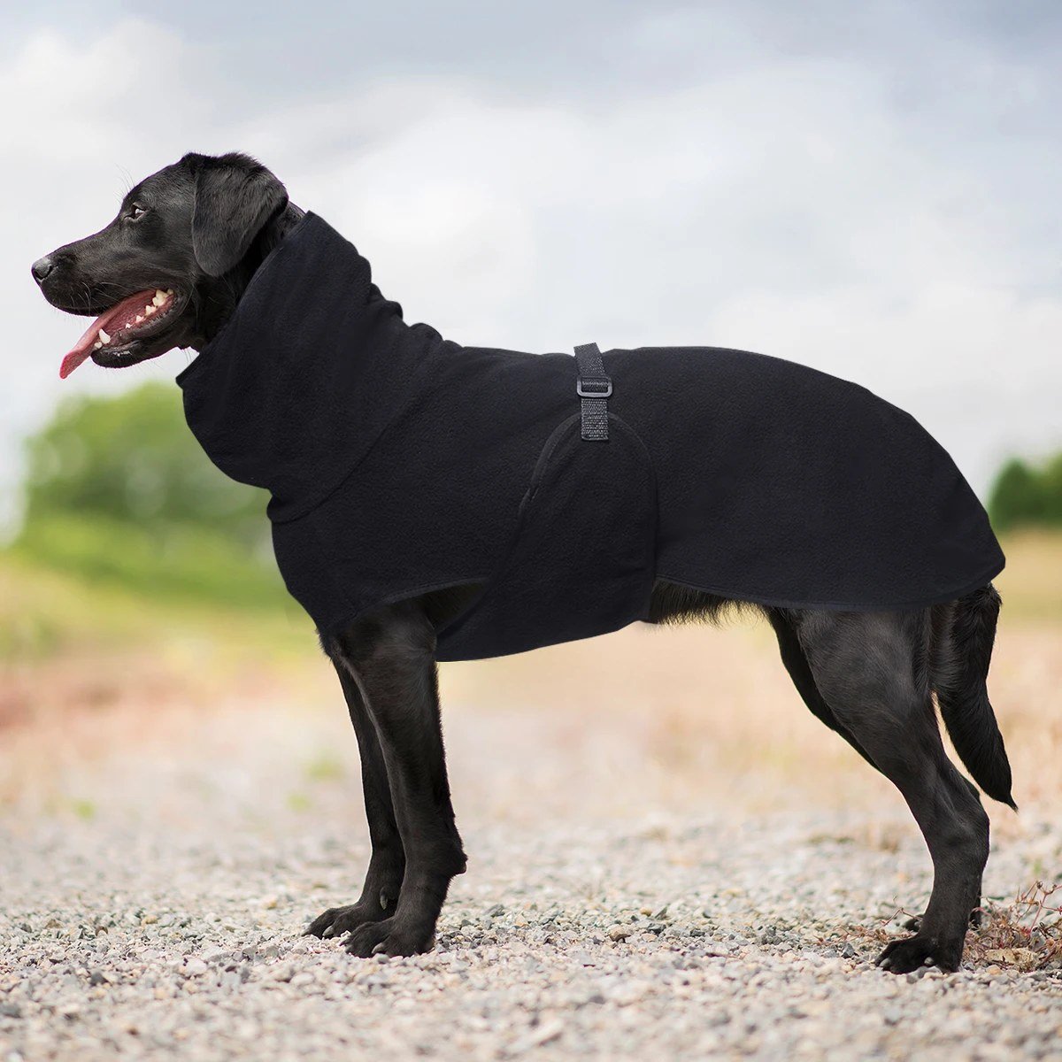 Black labrador wearing the Black high-neck fleece coat