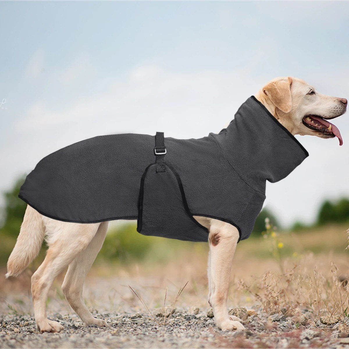 Labrador wearing the Charcoal high-neck fleece coat