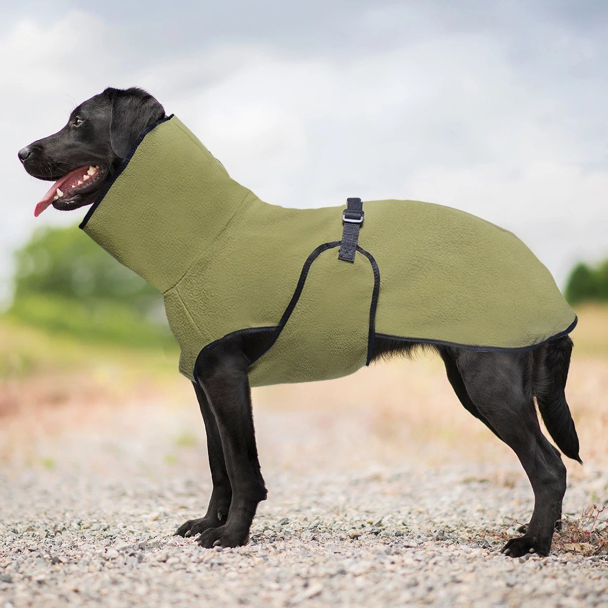 Black labrador wearing the Olive high-neck fleece coat