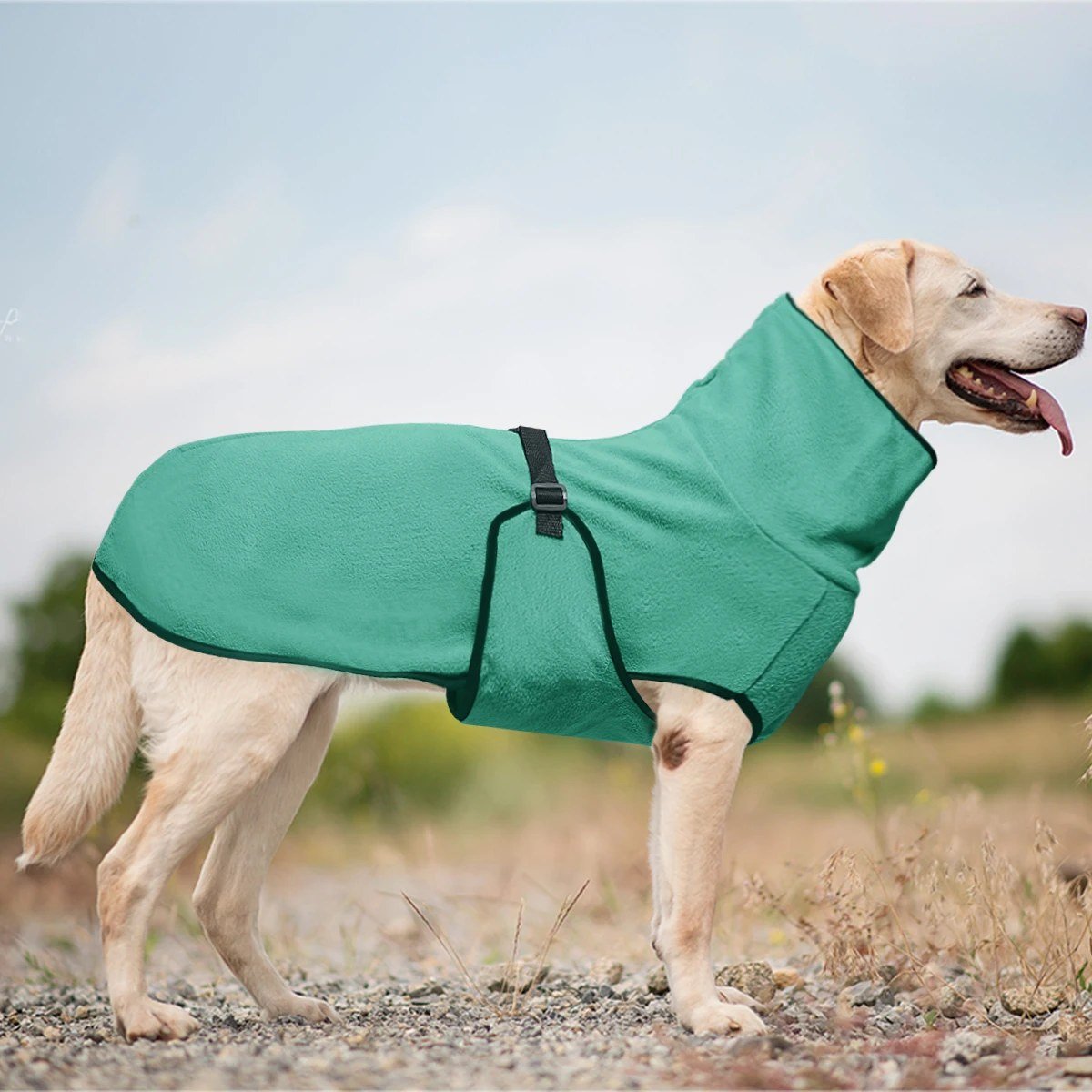 Labrador wearing the Teal high-neck fleece coat
