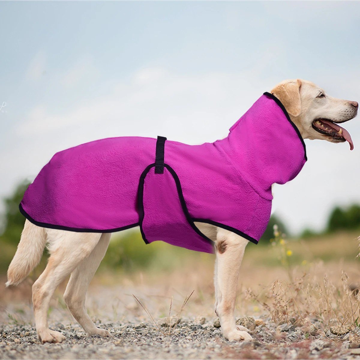 Labrador wearing the Magenta high-neck fleece coat