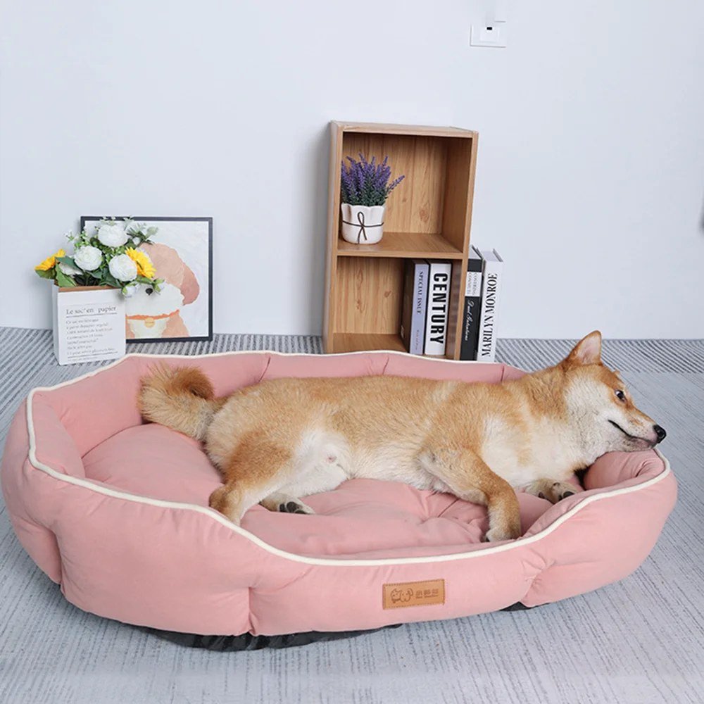 Dog asleep in the Blush Pink bolster sofa bed