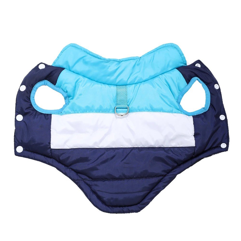 Padded winter dog coat in Blue, laid flat