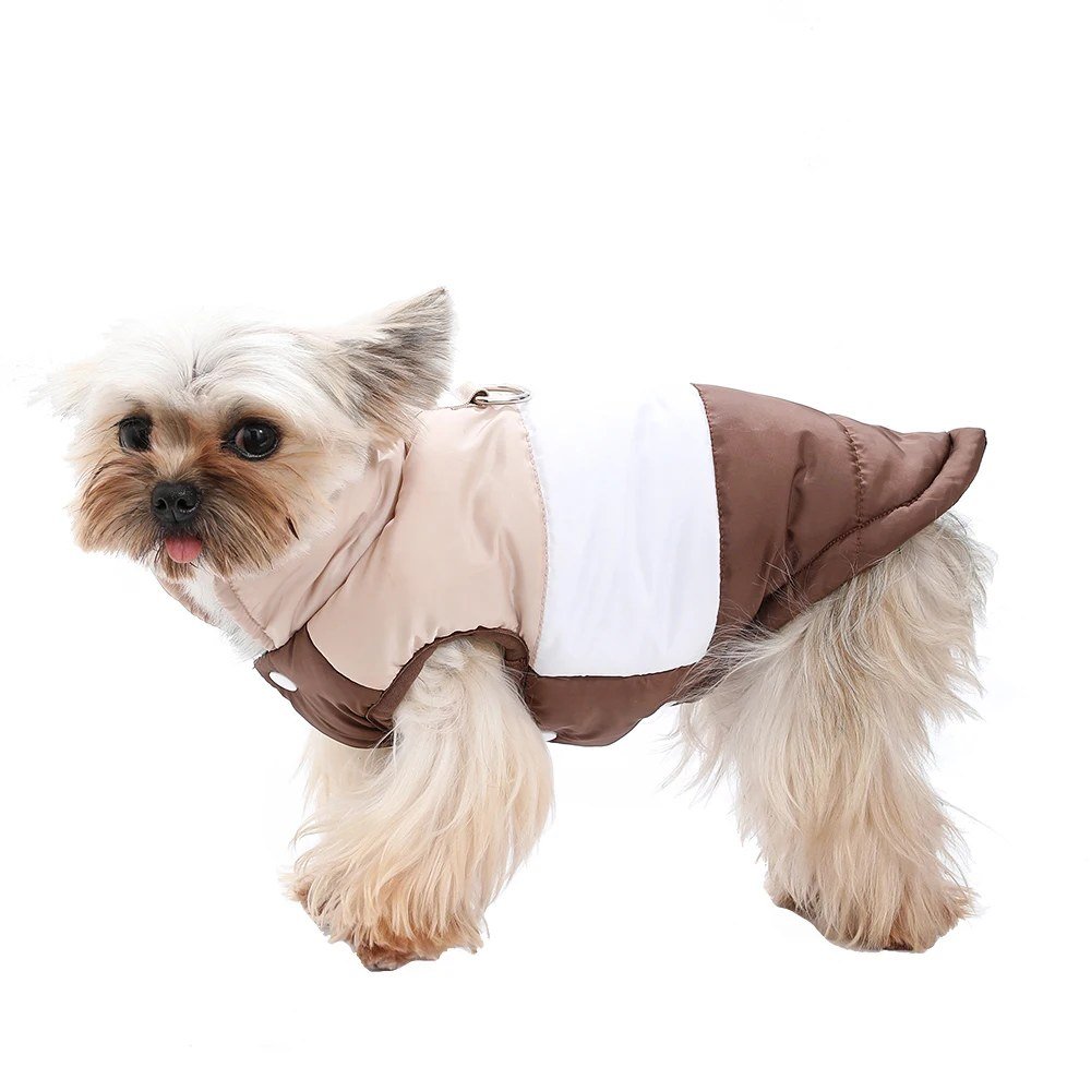Yorkshire terrier wearing the Mocha padded coat, side view