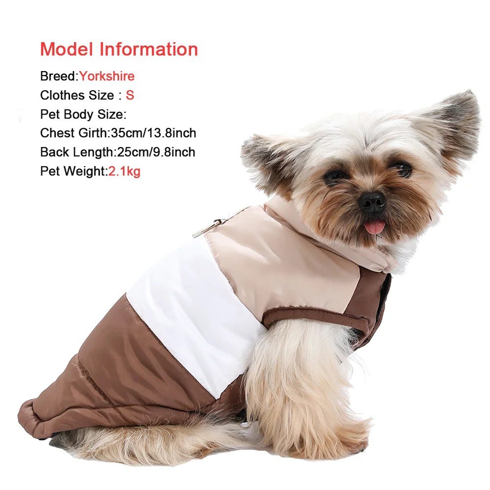 Size S on a 2.1 kg Yorkshire terrier with a 35 cm chest